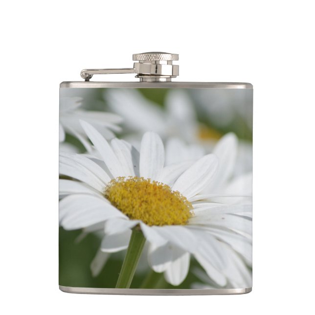 Flasques Marguerite (Devant)
