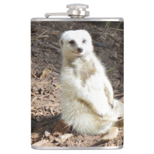 Flasques Modèle en nature : Posing Meerkat blanc pour camér