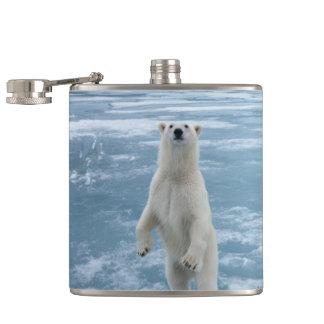 Flasques Ours blanc