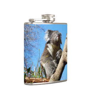 Flasques Ours Koala Dans L'Ancien Arbre, Fiole De Hanche