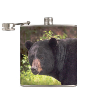Flasques Ours noir