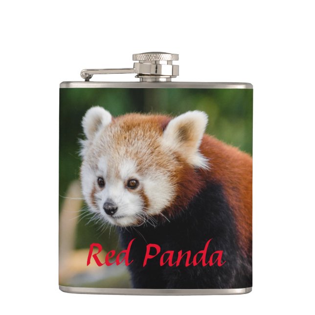Flasques Panda roux sauvage  (Devant)