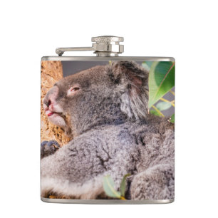 Flasques Petit koala doux