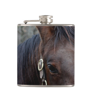 Flasques Photo de cheval