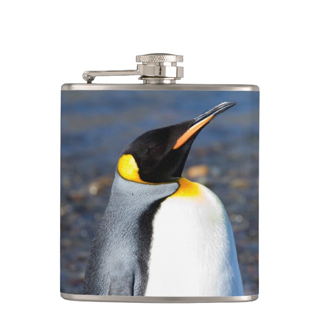 Flasques Portrait de pingouin (Devant)
