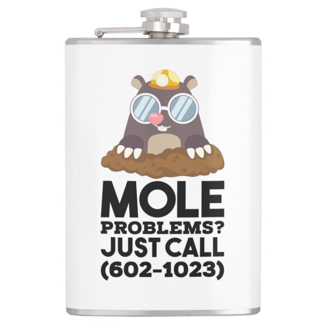 Flasques Problèmes de chimie - Mole  (Devant)