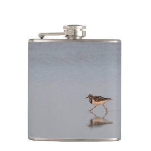 Flasques Sandpiper Bird Beach Nature Faune Photographie