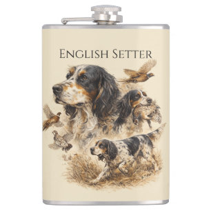 Flasques Setter anglais