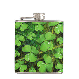 Flasques Shamrock vert St Patrick iPhone 5 Coque-Mate