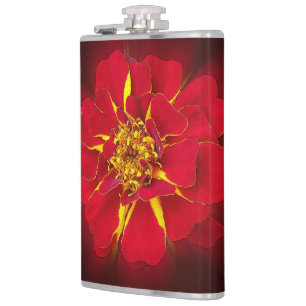 Flasques souci rouge vif
