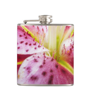 Flasques Stargazer Lily brillant Magenta Floral