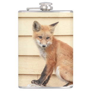 Flasques Trousse Red Fox dans la vallée de l'Hudson