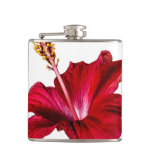 Vue latérale de l'Hibiscus rouge