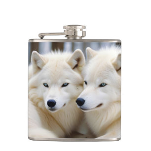 Flasques Wolf Animal Nature Faune Affection Soin