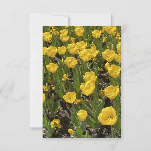 Flat Blank Card - Beautiful Tulips Bowral Dankeskarte (Vorderseite)