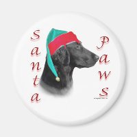 Flat Coated Retriever Santa Paws