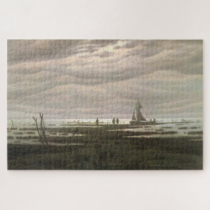 Flat Country Shank in der Bucht von Greifswald: Fr