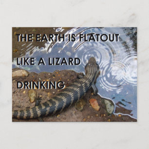 Flat Lizard Postcard - Flat Earth Meme Postkarte
