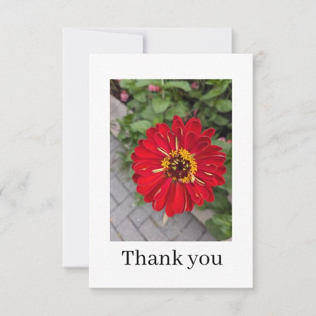 Flat Thank You Card Dankeskarte (Vorderseite)