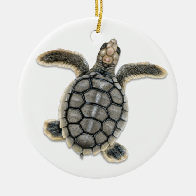 Flatback Sea Turtle Ornament (Vorne)