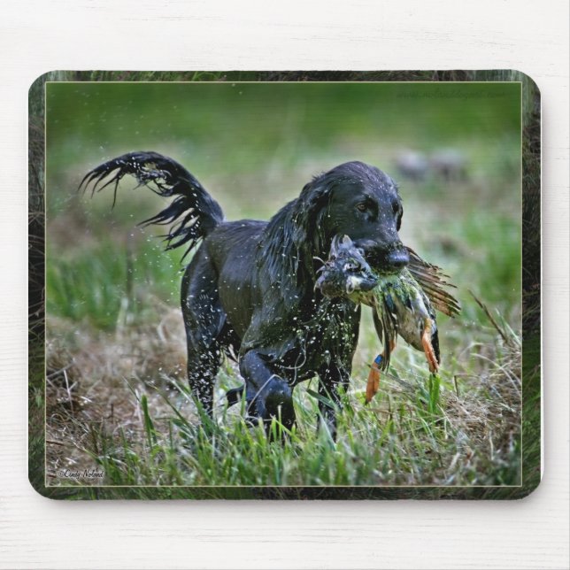 Flatcoated Retriever mit Ente Mousepad (Vorne)