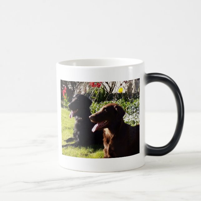Flatcoated Retriever-Tasse Verwandlungstasse (Rechts)