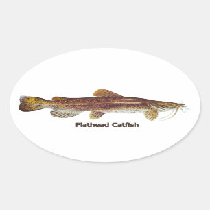 Flathead Catfish Ovaler Aufkleber