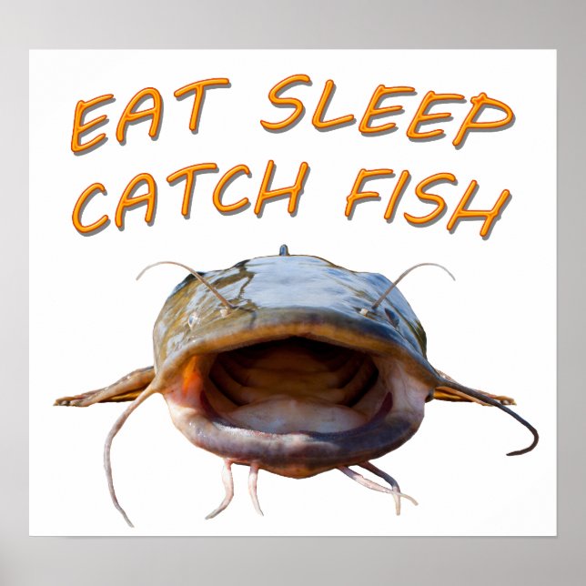 Flathead Catfish Poster (Vorne)