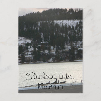 Flathead Lake , Montana Postkarte
