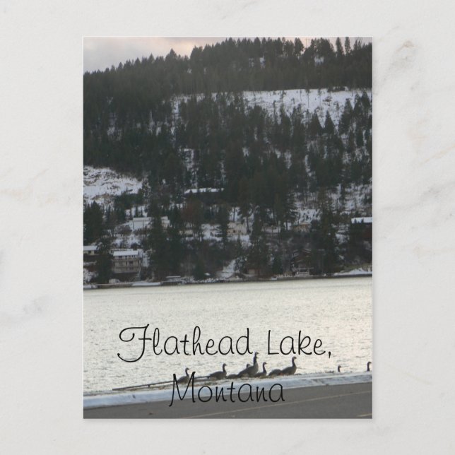 Flathead Lake , Montana Postkarte (Vorderseite)