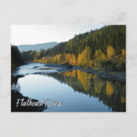 Flathead River View mit Bergen und Fallbäumen