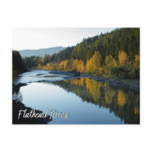 Flathead River View mit Bergen und Fallbäumen