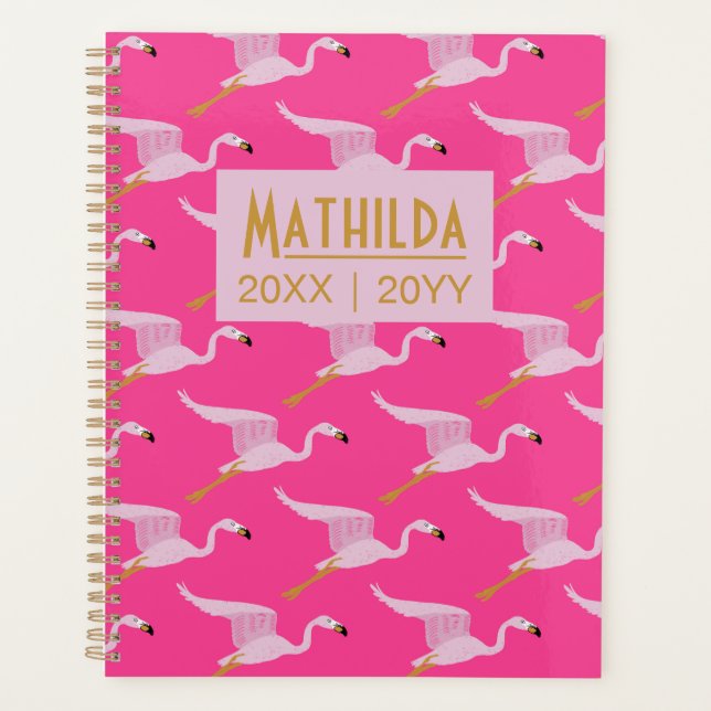 Flatternde Flamingos Planer (Vorderseite)