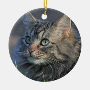 Flaumige graue Tabby-Katze, die aufwärts schaut Keramik Ornament