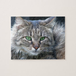 Flaumige Grün-Mit Augen Tiger-Miezekatze-Katze