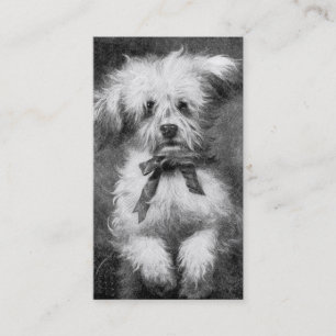 Flaumige HundeVisitenkarte Visitenkarte