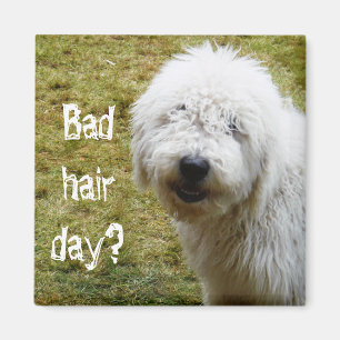 Flaumiger Frizzy Tag-Hund Magnet