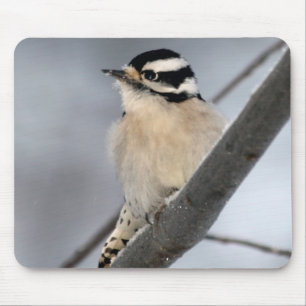 Flaumiger Specht Mousepad