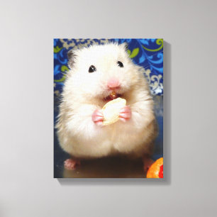 Flaumiger syrischer Hamster Kokolinka, das einen Leinwanddruck