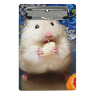 Flaumiger syrischer Hamster Kokolinka, das einen Mini Klemmbrett