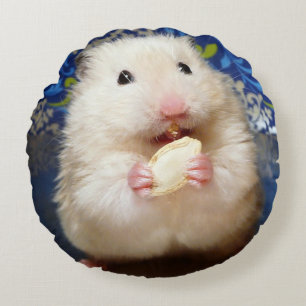 Flaumiger syrischer Hamster Kokolinka, das einen Rundes Kissen
