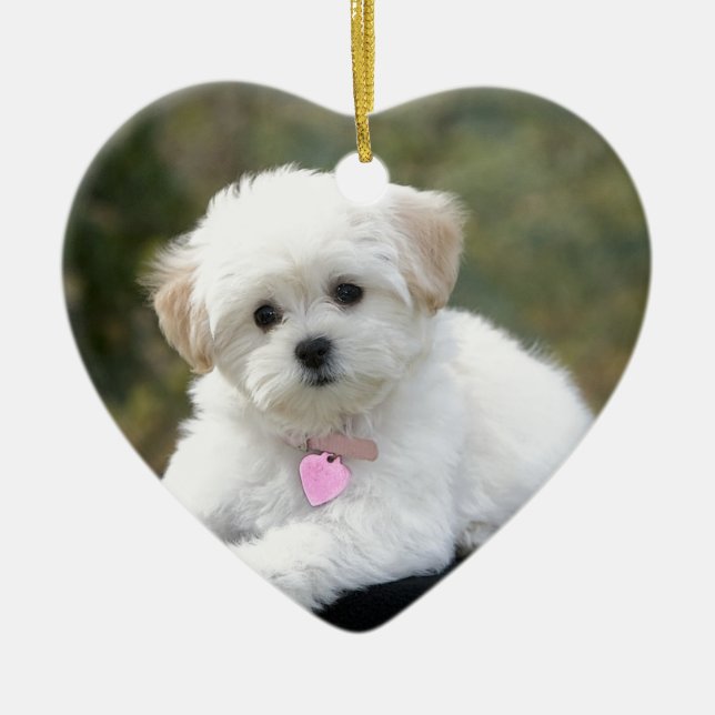 Flaumiger weißer Hund Keramikornament (Vorne)