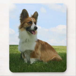 Flaumiger Wolljacken-WaliserCorgi Mousepad