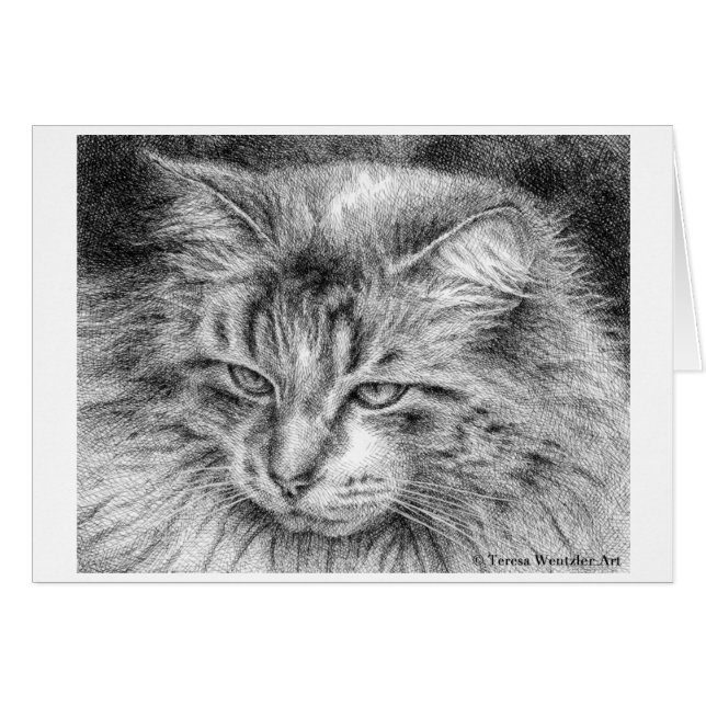 Flaumiges Katzen-Porträt-zeichnende Federkarte (Vorderseite (Horizontal))
