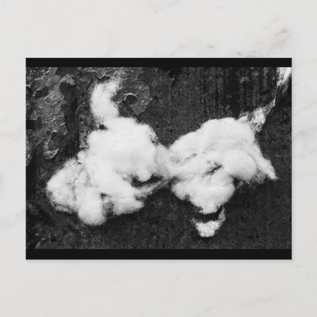 Flauschig Urlaub Postkarte (Vorderseite)