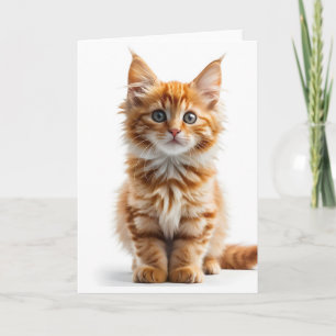 Flauschige Langhaar Orange Tabby Katze Blanko Kart Karte