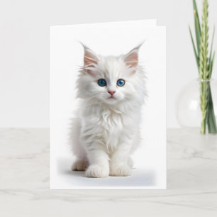 Flauschige weiße Langhaarkatze blaue Augen leere K Karte
