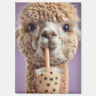 Flauschiges Alpakaporträt beim Trinken von Boba-Bu Magnet