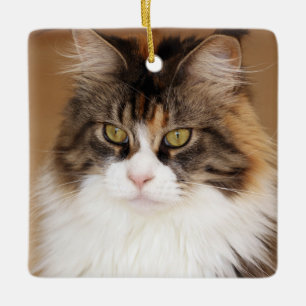 Flaute Mammutkatzenkuze Keramikornament