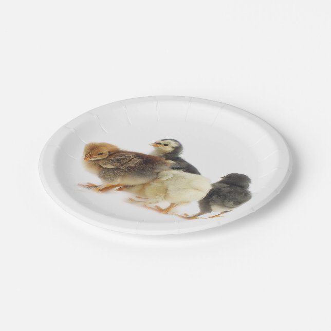 Flaute Pappteller (Schrägansicht)